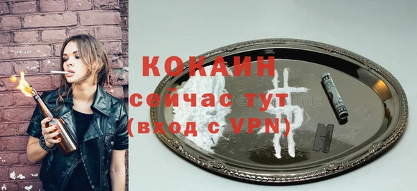 молекула духа Ростов