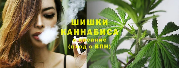 mix Рославль