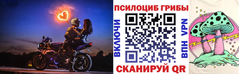 Псилоцибиновые грибы Psilocybine cubensis Кемь