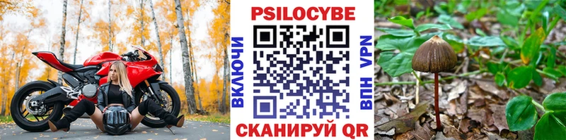 дарк нет Telegram Кемь Псилоцибиновые грибы ЛСД